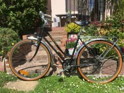 Vlo De Femme Vintage Pour La Ville