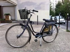 Gazelle Impala Femme