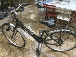 Vlo Hollandais Windsor