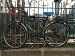 Vlo Paloma T55 / Bon Tat