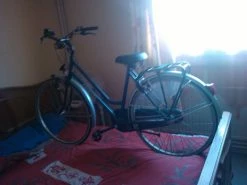 Velo Amstel Hollandais