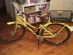 Velo Ridgback Tradition Avec Panier