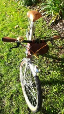 Vlo Jacques Anquetil