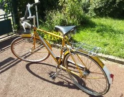 Velo Homme Raleigh Riviera