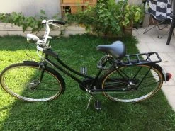 Raleigh Roadster Femme