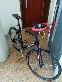 Vlo Fitness Root Expert