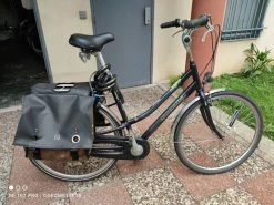 Vlo De Ville Hollandais