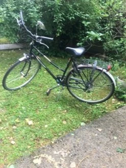 Vlo Femme Gazelle Mdo